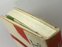 ピューリタンの末裔たち: アメリカ文化と性 研究社 亀井 俊介