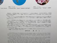 小冊子　福岡県 　福岡県通商観光課　