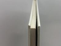 Chinese Tomb Figurines 中国の明器　Images of Asia)Oxford Univ Pr 　AnnPaludanアン・パルーダン