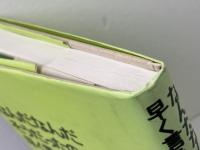 なんだなんだそうだったのか、早く言えよ: ヴィジュアル論覚え書 (五柳叢書) 五柳書院 加藤 典洋