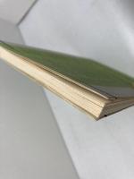 英語学習　DIFFERENT CULTURES DIFFERENT MINDS 　異文化に生きて　成美堂