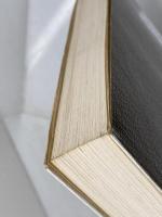 ラテンアメリカ: 自立への道 (世界思想ゼミナール) 世界思想社教学社