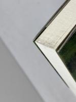 アイリッシュ・ミュージックの森 青弓社 大島 豊