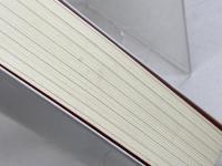 カール・シュミット入門講義 作品社 仲正 昌樹