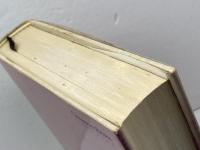 ブダペストの夜　 ハンガリー動乱の悲劇 (大手町ブックス) 日本工業新聞社 シャーンドル コパチ