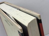 エロス (現代哲学の冒険 4) 岩波書店 松浦 寿輝