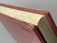 ロシア革命論   ローザ・ルクセンブルク