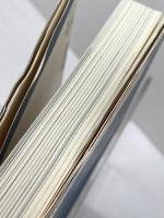 視覚的恍惚 (叢書レスプリ・ヌウボオ) 白地社 手塚眞