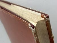 使徒行録　聖書原文からの批判的口語訳 　フランシスコ会聖書研究所