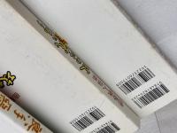 囲碁鉄人指南　５冊セット　日本棋院