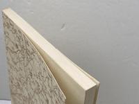 日露戦争日記 　 神戸新聞出版センター 竹内 太郎吉