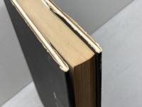 クリティック 　四方田犬彦 　冬樹社