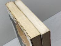 必勝将棋シリーズ1・2　　２冊セット　新・振飛車入門、穴熊戦法入門　大内延介　新星出版社