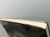 城郭研究最前線  ここまで見えた城の実像 (別冊歴史読本 71) KADOKAWA(新人物往来社)