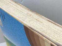 クリシュナムルティの瞑想録: 自由への飛翔 (mind books) 平河出版社 J.クリシュナムルティ