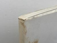 民族学の先覚者 鳥居龍蔵の見たアジア　国立民族学博物館　1993年