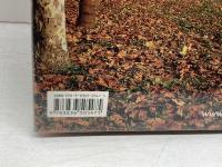 洋書　アンドレーア・パッラーディオ 　建築作品集　Andrea Palladio　The Complete Buildings　TASCHEN　