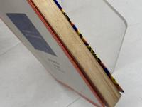 新しい詰将棋100題　三手から二十三手詰まで　清野静男　永岡書店