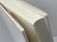 孫文と袁世凱　中華統合の夢 (現代アジアの肖像 1) 岩波書店 横山 宏章