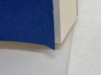 さまよう民主主義 アウトサイダーの台頭は政党政治の終焉なのか ハーパーコリンズ・ ジャパン スティーヴ リチャーズ