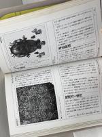 チャイニーズ・グラフィティ―中国、その生活と知恵 東方書店 リタ アエロ