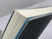 はじめての漢詩創作 白帝社 鷲野 正明