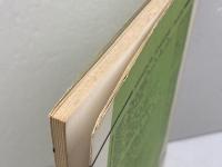 ALICIA'S DIARY 姉の日記　THOMAS HARDY　ハーディ　成美堂