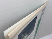 5分間アメリカ文学 　A SHORTER COURSE IN AMERICAN LITERATURE 南雲堂 井上 謙治