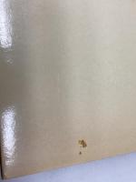 最新日中外来語辞典 東方書店 史 群