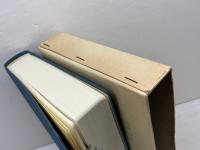 最新日中外来語辞典 東方書店 史 群