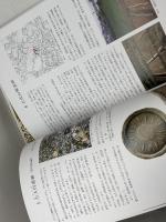 明石の古代 　発掘された明石の歴史展　1・2　２冊セット　発掘された明石の歴史展実行委員会　2013、14