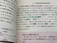 基礎分子生物学　第3版 東京化学同人 村松 正實