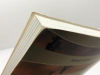 洋書　Visual Studies　A Skeptical Introduction　 Routledge　ジェームズ・エルキンス JamesElkins