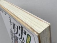 中央アジア・旧ソ連イスラーム諸国の読み方: 言語・民族・宗教・資源・産業 ダイヤモンド社