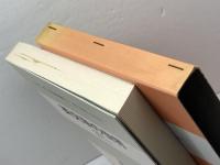 英文学の世界　スタンダード英語講座 第10巻 　大修館書店 　高柳俊一　中野記偉