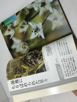いのちのまほろば 神戸新聞出版センター