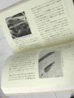 播磨の昆虫 (のじぎく文庫) 神戸新聞総合印刷 相坂 耕作