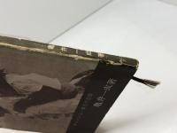 チェリーと双子の弟たち　チンパンジー育児の記録 　昭和41　亀井一成 、のじぎく文庫