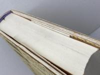 日本人の自然観　 縄文から現代科学まで 　河出書房新社