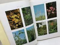 薬用植物分類学　改稿版　 刈米達夫ほか　廣川書店 　