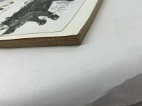 季刊　半どん　３０周年記念特集　兵庫百景　90・91合併号　昭和58