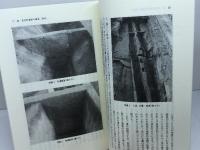 平家と福原京の時代 (岩田書院ブックレット H- 1) 岩田書院