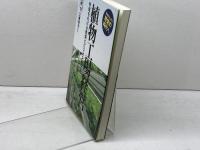 植物工場経営 (B&Tブックス) 日刊工業新聞社 三輪泰史