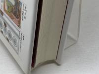 新約聖書を美術で読む 青土社 秦 剛平