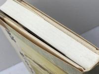 説話　救いとしての死 翰林書房