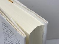 戦後精神の光芒　丸山眞男と藤田省三を読むために みすず書房 飯田 泰三