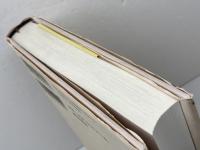 日高六郎・95歳のポルトレ: 対話をとおして 新宿書房 黒川 創