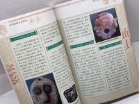 洋書　中国国粋芸術読本　面具　顧朴光　中国文聯出版社　中国語