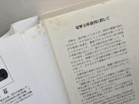 境界線上のホライゾン　 I〜Xの中巻まで + サイドストーリー3冊　 全32冊中28冊セット 　川上稔 　電撃文庫