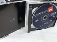 10CDBOX　チェリビダッケ・エディション　 ベートーヴェン＆ブラームスチクルス　国内盤　限定6000セット